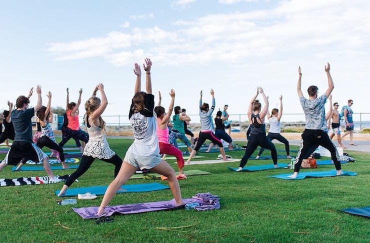 group of people participating in a yoga class